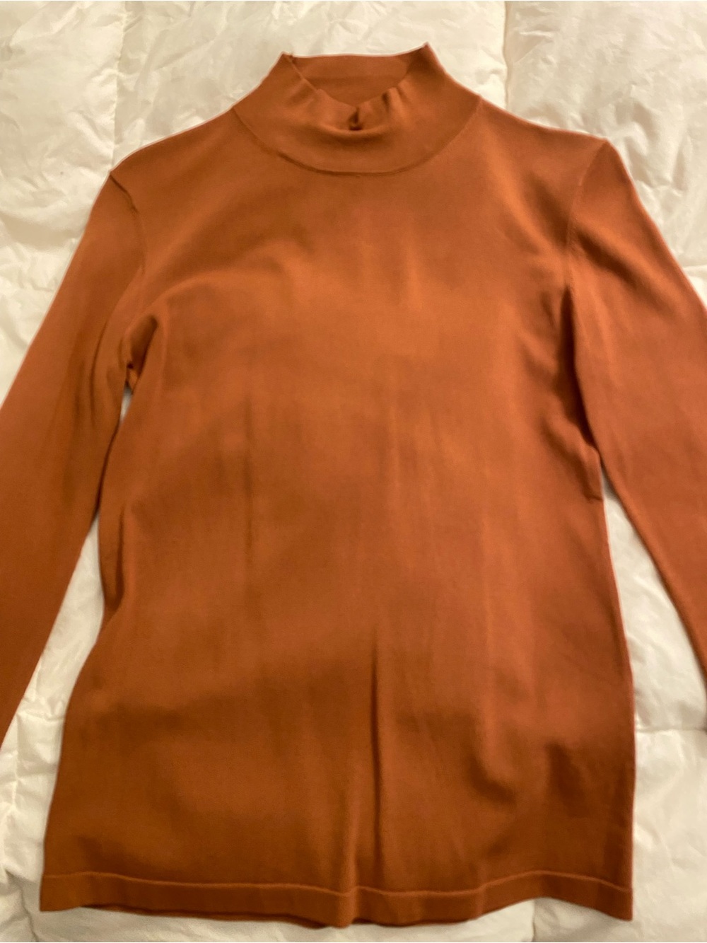 Zara Terracotta Mock Neck Sweater